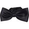 Noeud papillon noir