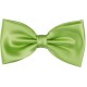 Vert Clair noeud papillon